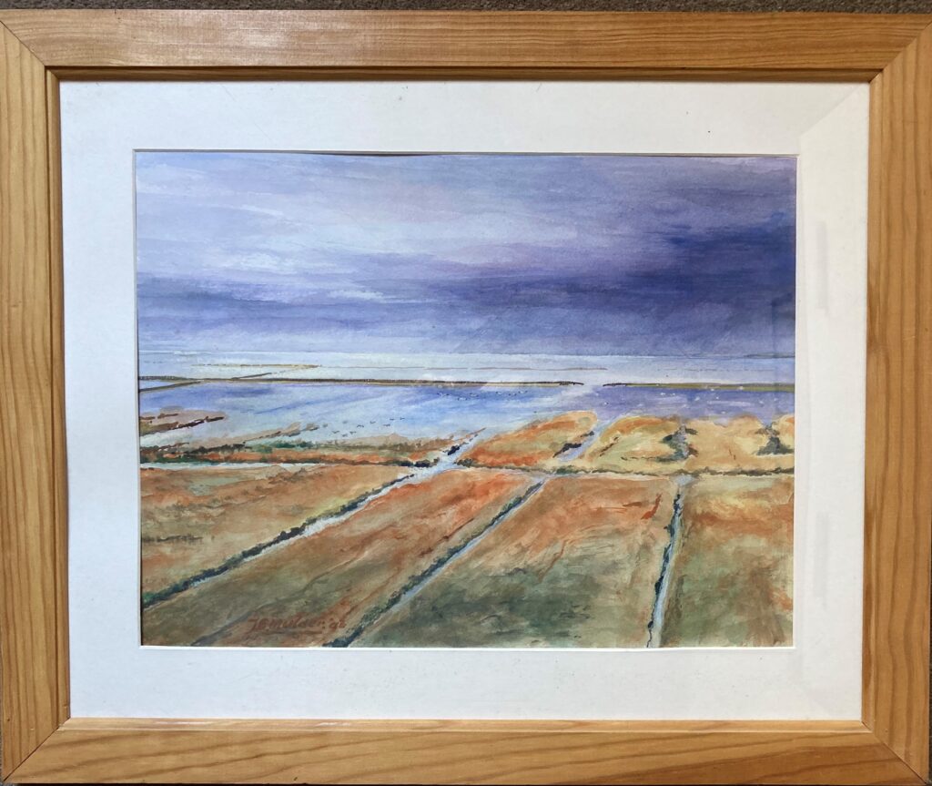 218 Kwelder achter Knol, aquarel, 2003 (30x40)